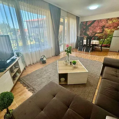 дани и мони