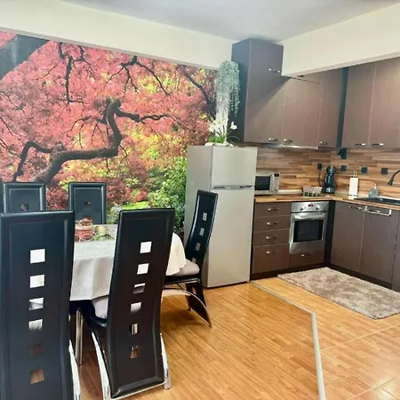 дани и мони