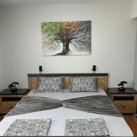 дани и мони