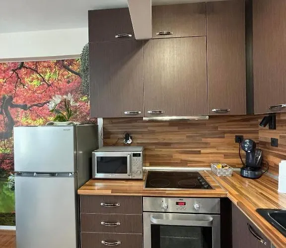 дани и мони Sweti Wlas