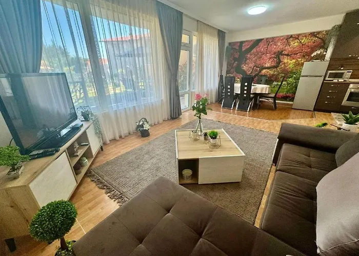 дани и мони