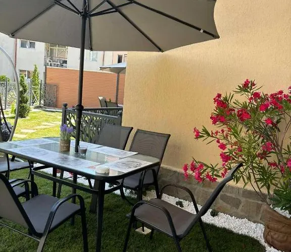 дани и мони