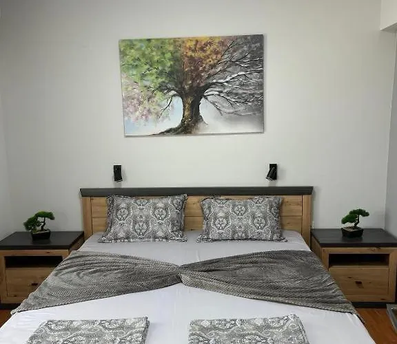 дани и мони