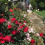 яна * 스베티 블라스