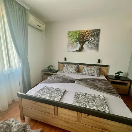 дани и мони Apartment *