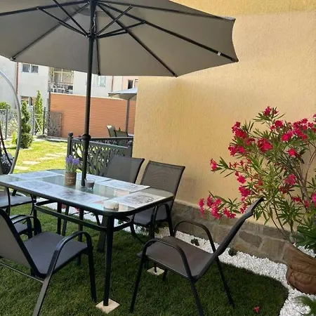 дани и мони